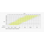 Aile de Kitesurf Eleveight RS V9