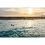 Aile de Wing Foil Flysurfer TAO2 Boom Violet