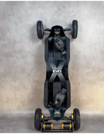 Mountainboard Electrique...